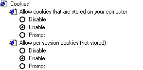 Microsoft Internet explorer cookies options